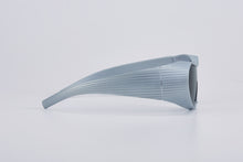 Load image into Gallery viewer, DALLAN SUNGLASSES SILVER/BLACK